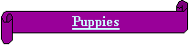 Горизонтальный свиток: Puppies